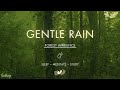 Gentle Rain On Forest Ground NO MIDROLL ADS Soft Rain Sounds For Sleeping