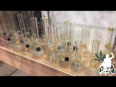Portland INDO CANNABIS EXPO - 2019 (2LESSLEGS)