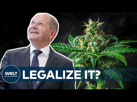 KANZLER WILL CANNABIS: Marihuana-Legalisierung - Scholz hat nie gekifft