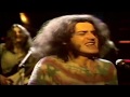 Joe Cocker ~ The Letter