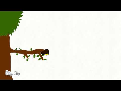 Metamorphosis animation