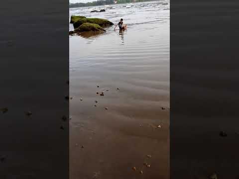 Latest video...Shanavi enjoying on the beach..(1)