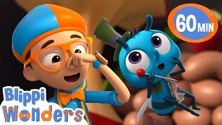 Blippi finds out why flies love garbage! | Blippi Wonders Educational Videos for Kids