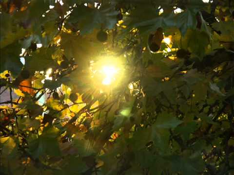 Ritam Cafe feat. Stipan Đurić - Jesenska zora