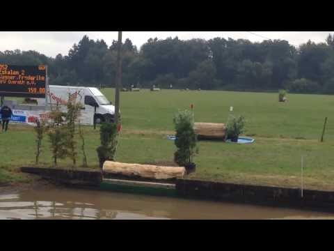 Unser erstes Buschturnier - Geländepferde A**