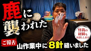 【ご報告】山作業中に鹿に襲われ、8針縫いました