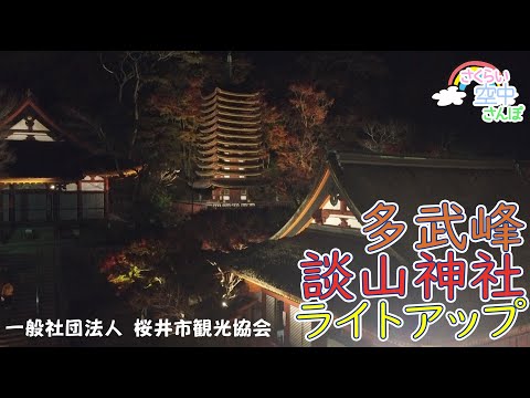 談山神社 夜間ライトアップ  空中さんぽ　桜井市観光協会（公式）