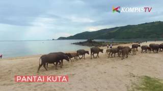 Download lagu 6 Pantai Menakjubkan di Kawasan Mandalika, Lombok mp3