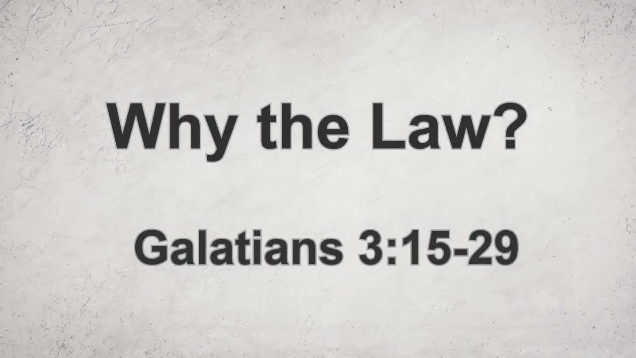 Why the Law?