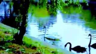 Jim Reeves Have You Ever Been Lonely