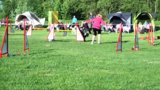 preview picture of video 'Nitro agility competition Ptuj'