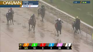 Oaklawn Park - The King Cotton Stakes 2023