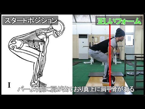 バーベルデッドリフトデッドリフト – やり方とよくある間違い