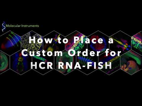 How to Place an HCR™ RNA-FISH Order for Custom Probe Design