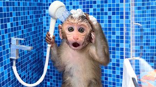 Monkey Baby Bon Bon oes to the toilet and plays wi