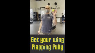Get your Wing Flapping Fully
