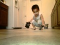 Afv 2011