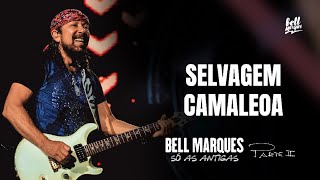 Selvagem Camaleoa Music Video