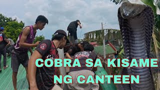 JUMBO COBRA SA KISAME NG CANTEEN ITLOG NG IBON  ANG  PABORITO