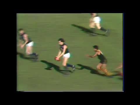 1983 Round 12 Carlton Highlights - Carlton vs Richmond