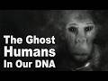 Who Were The Super-Archaic 'Ghost' Humans? DEFAULT Thumbnail