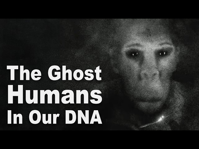 Who Were The Super-Archaic 'Ghost' Humans? SDDEFAULT Thumbnail