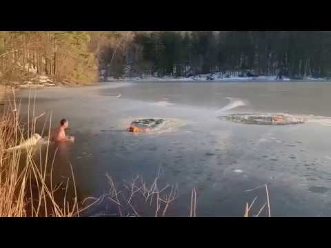 Спасение провалившихся под лед собак