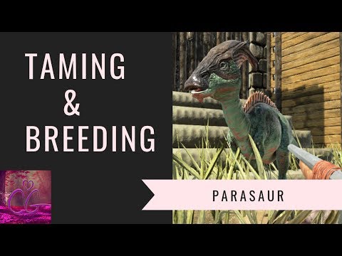Parasaur ~ taming and breeding ~ ark survival evolved