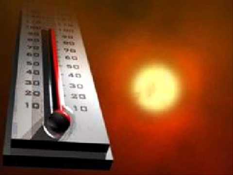 Dupli, Royal - Vrucina