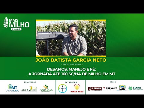 Desafios, manejo e fé: a jornada até 160 sc/ha de milho em MT | Especial Mais Milho