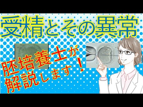 園芸 体外培養技術