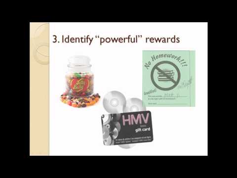 Token Economy for Adapting Instruction (2nd Edit)