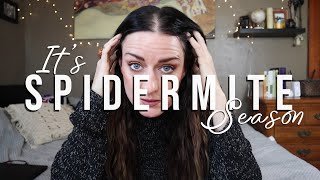 I Found Spidermites On My Houseplants | #Vlogmas Ep06