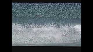 Sennen Summertime Boogie