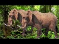 Big Fun Adventures IndianaJonesSkywalker675 Style Animal Parade