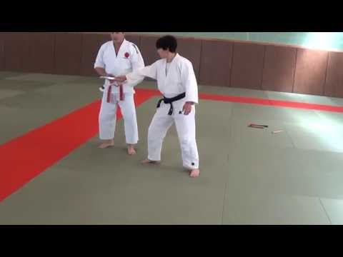 JUJITSU 20 techniques + Explicatif - SERIE D