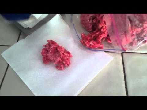 Eating raw ground beef