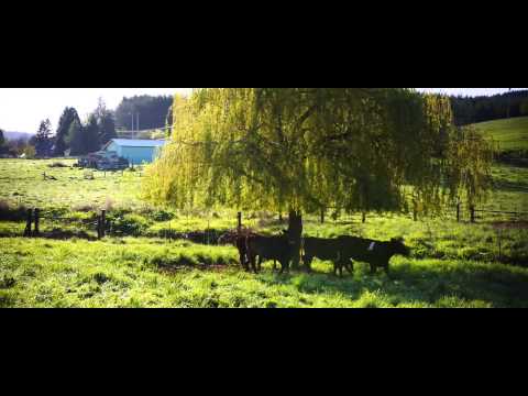 Kookoolan Farms Grass Fed Beef