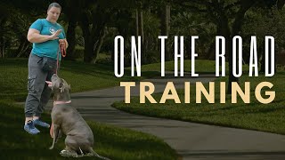 Taking Training into the Real World