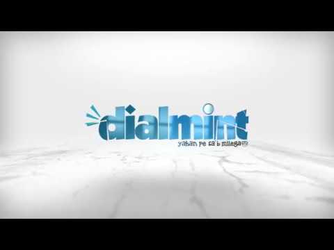 Dialmint Partner Customer Lead