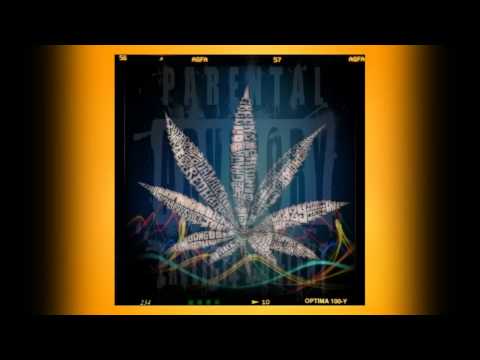 Hardbody Scottyy X Rize Baby - BOTHERED (REMIX)