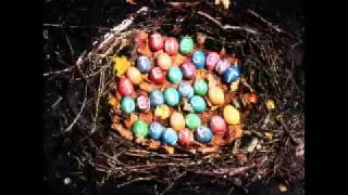 Joan of Arc - A Picture Postcard [OFFICIAL AUDIO]