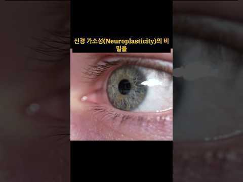 당신의 끌어당김이 실패하는 이유