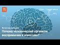 Мозг и алкоголь — Вячеслав Дубынин Мозг и алкоголь — Вячеслав Дубынин