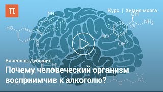 Мозг и алкоголь — Вячеслав Дубынин - YouTube