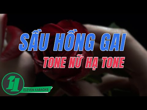 Karaoke Beat Gốc | Sầu Hồng Gai - Jombie | Tone Nữ (Gm)