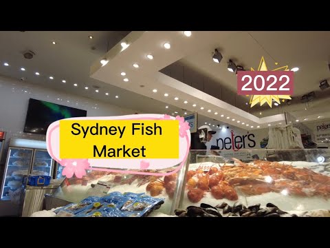 Sydney Fish Market 12.11.2022