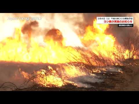 市政情報発信番組 Report Tochigi【令和5年2月放送号】 - 栃木市ホームページ