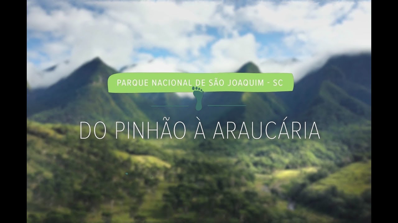 Do pinhão à araucária | Parque Nacional de São Joaquim (episódio 3)