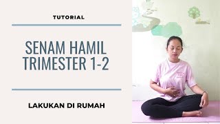 Download lagu Panduan Mudah Senam Hamil Trimester 1 2 di rumah... mp3